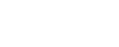 PiFi — Smart Pet Tech Brand