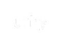 Fintech SaaS